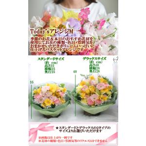 TodaysアレンジM スタンダードサイズ お...の詳細画像4