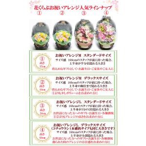 TodaysアレンジM スタンダードサイズ お...の詳細画像5