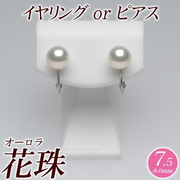 オーロラ花珠 花珠真珠 アコヤ パールイヤリング（またはピアス） 7.5mm-8.0mm グリーン　...