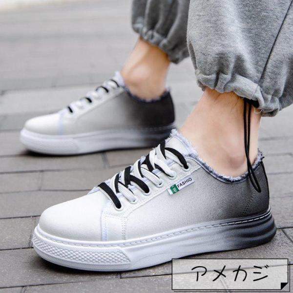 キャンバススニーカー メンズ キャンバス スニーカー レースアップ ローカット 靴 シューズ グラデ...