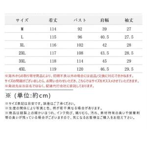 ワンピース レディース 重ね着 レイヤード ロ...の詳細画像1