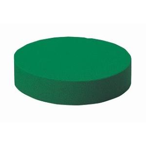 アクアフォーム アクアホールケーキ　１９ 10-3256-0 2個