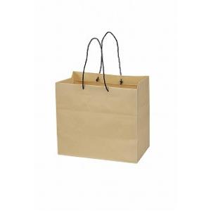 ペーパーバッグ　ＢＭ 162-68730-0　10枚 ラッピング袋 プレゼント袋 手提げ紙袋｜hanadonya