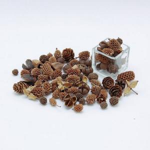 日限定10 ドライ コアトレーディング ミニコーンアソート　ナチュラル 10597 ドライ実物＆フルーツ 松かさ、から松