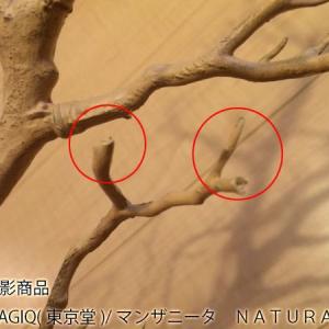 造花 MAGIQ東京堂 マンザニータ NATU...の詳細画像3