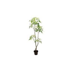 日限定21 直送 人工観葉植物 光の楽園 光触媒 ツイストウンベラータ1.9