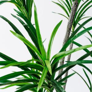 直送 人工観葉植物 東京堂 ユッカポット S ...の詳細画像2