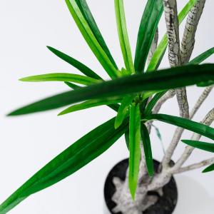 直送 人工観葉植物 東京堂 ユッカポット S ...の詳細画像4