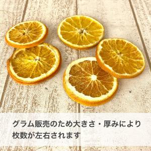 日限定10 ドライ コアトレーディング オレン...の詳細画像2
