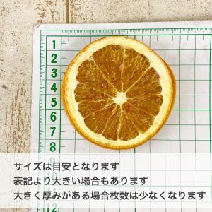 日限定10 ドライ コアトレーディング オレン...の詳細画像3