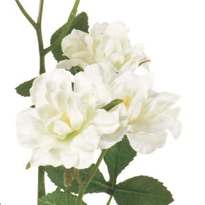 造花 MAGIQ東京堂 バンクシアローズ #1...の詳細画像1