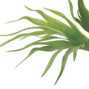 造花 MAGIQ東京堂 ビカクシダ GREEN...の詳細画像1