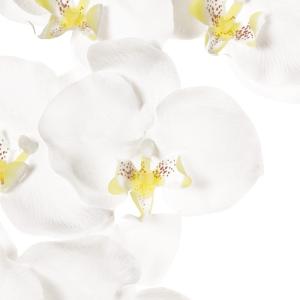 造花 MAGIQ東京堂 ピュアファレノプルミエ...の詳細画像1