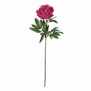 ベルーナ 花 ガーデニング の商品一覧 通販 Yahoo ショッピング