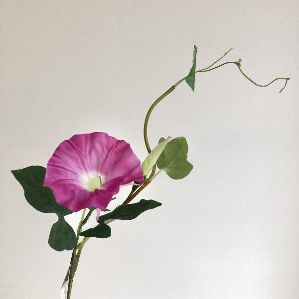 造花 MAGIQ東京堂 江戸朝顔 #12 ORCHID FM000203-012 造花 花材「あ行」...
