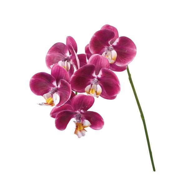 造花 MAGIQ東京堂 リアンファレノ ダークオーキッド #112 DKOC FM008803-11...