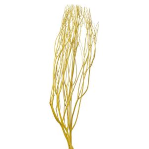ドライ みつまた染 100ｃｍ 菜ノ花 イエロー FD010100-005 ドライ枝物 三又
