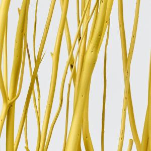 ドライ みつまた染 100cm 菜ノ花 イエロ...の詳細画像1