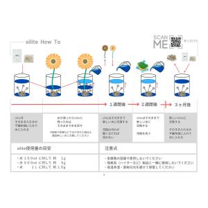 水質改善 鮮度保持 silite シリット 1...の詳細画像3