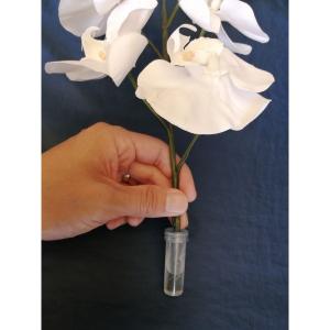 保水キャップ／ＮＴニューハードホルダーＬ4ｍｍ 50個入り 生け花 生花 道具 カトレアホルダー
