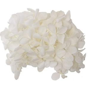 プリザーブド GARDEN PALETTE MONO ピラミッドアジサイ ピュアホワイト 約15ｇ GPP-01 プリザーブドフラワー花材 アジサイ