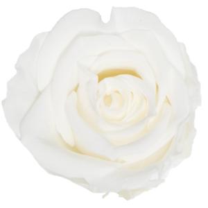 プリザーブドフラワー花材 バラ白 プリザーブド GARDEN PALETTE MONO リサ ローズ 9輪 ピュアホワイト