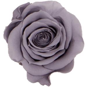 プリザーブド GARDEN PALETTE MONO ミアローズ 8輪 アイスグレー GP920-14 プリザーブドフラワー花材 バラ ローズ