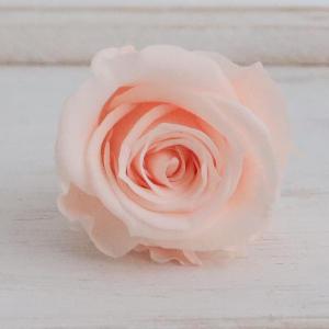 プリザーブド GARDEN PALETTE MONO ミアローズ 8輪 シャンパンピンク GP920-16 プリザーブドフラワー花材 バラ ローズ