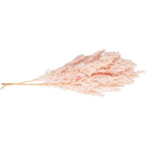 プリザーブド GARDEN PALETTE MO...の商品画像