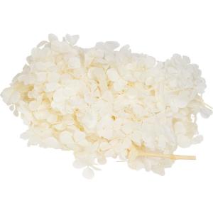 プリザーブド GARDENPALETTEMONO アトランティスアジサイ約15gピュアホワイト GPT-011 プリザーブドフラワー花材 アジサイ