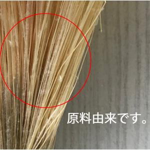 日限定21 ドライ 小分け 大地農園 スターフ...の詳細画像2