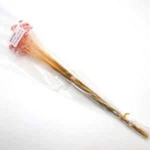 日限定21 ドライ 小分け 大地農園 スターフ...の詳細画像1