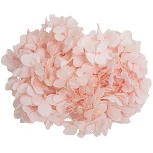 プリザーブド GARDEN PALETTE MONO アトランティスアジサイ ペールピンク 約15g GPT-19 プリザーブドフラワー花材 アジサイ