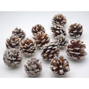 松ぼっくり/松かさ Mサイズ:約4〜6cm 50個 1セット 自然色 国産 天然