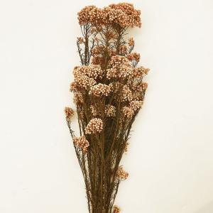 プリザーブド GARDEN PALETTE MONO 限定ソフトライスフラワー ピーチピンク GPRS-11 プリザーブドフラワー花材 小花