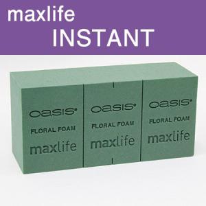オアシス インスタント紫箱 maxlife 　1ブリック売り フローラルフォーム