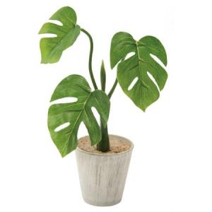 日限定08 人工観葉植物 YDM ミニモンステラポット グリーン GLA1300-GR