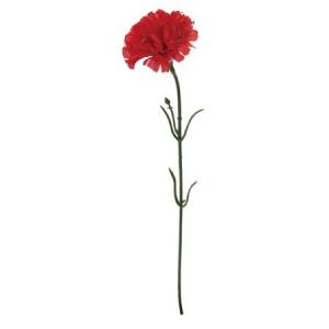造花 YDM カーネーションピックL レッド F...の商品画像
