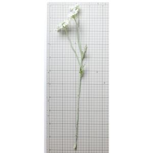 造花 YDM レースフラワー ホワイト FA7...の詳細画像4