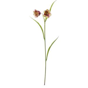 バイモユリの商品一覧 通販 Yahoo ショッピング