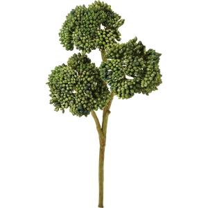 日限定10 造花 YDM オランダセダムピック ＤＧＲ FG -5110-DGR ※お届け日をご確認ください