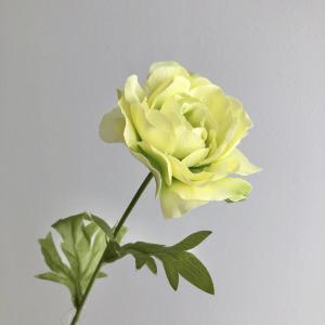 造花 YDM シングルラナンキュラス グリーン ...の商品画像