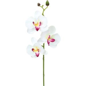 アウトレット 造花 YDM コチョウラン FFH-0065-L W 造花 花材「か行」 コチョウラン 胡蝶蘭