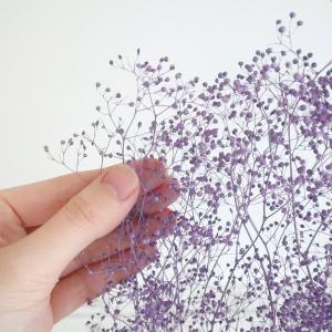 プリザーブド 大地農園 ミニカスミ草 24g ...の詳細画像3