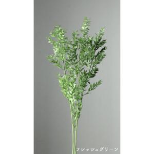 プリザーブド 大地農園 ラスカス プリザーブド　フレッシュグリーン 03560-731 プリザーブドグリーン 葉物