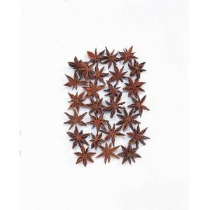 ドライ 大地農園 スターアニス 35g N 21...の商品画像