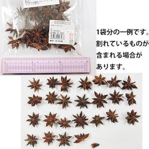 ドライ 大地農園 スターアニス 35g N 2...の詳細画像1