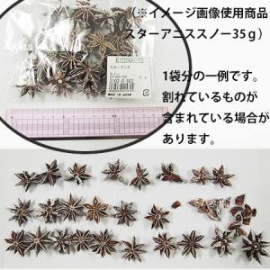 ドライ 大地農園 スターアニス 35g ゴール...の詳細画像1
