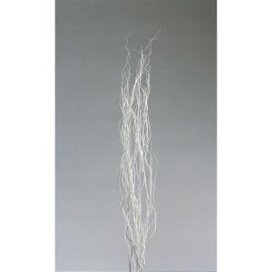 日限定10 ドライ m flowers 押し花 マトリカリア ダブルラテ ドライ