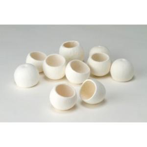 日限定10 ドライ コアトレーディング クジャクヤシ カリオタの実 小